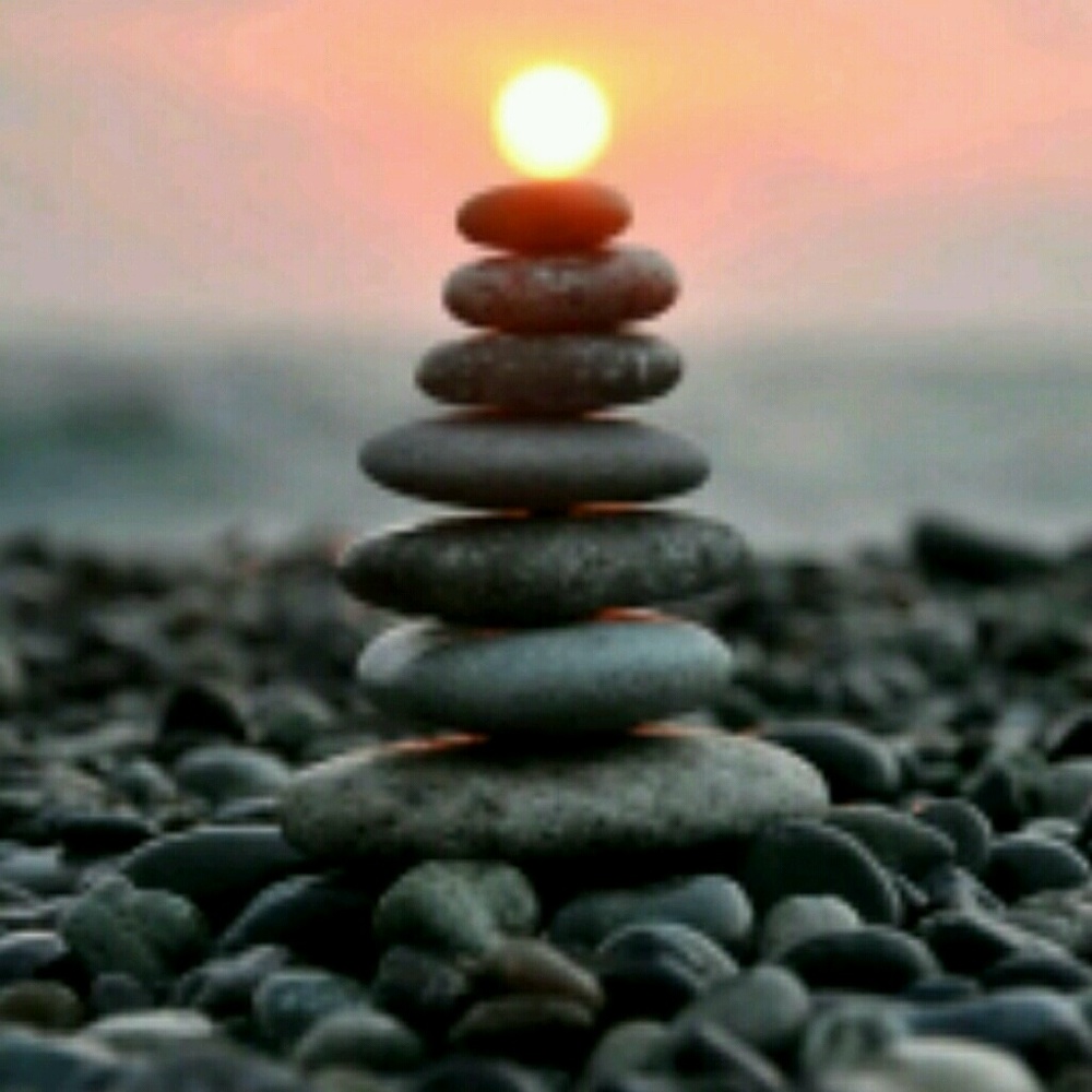 Meet your Posher, Mckenzee